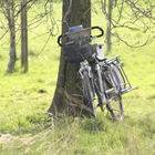 Fahrrad lehnt an Baum