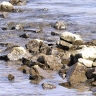 Steine im Rhein