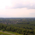 Blick Richtung Rheinkamp
