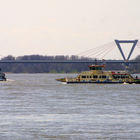 Rheinfähre & Flughafenbrücke