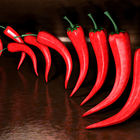 Red Hot Chilly Peppers II