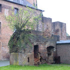 Burg Brüggen