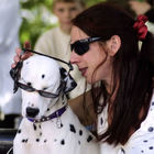 Dalmatiner mit Sonnenbrille - Hundedressur (Daniela & Marcello)