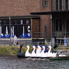 Tretboote in Schwanenform vor dem Kindermuseum Atlantis
