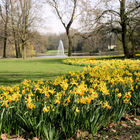 Frühling im Kaisergarten