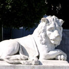 Löwenskulptur vor dem Nordportal