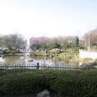 Teichanlage mit Fontäne