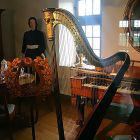 Musikzimmer mit Harfe