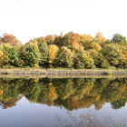 Herbstliche Bäume spiegeln sich im Wasser
