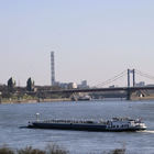 Rheinpanorama mit Schiff und Friedrich-Ebert-Brücke