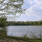 Essenberger See