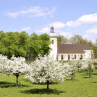 Dorfkirche hinter blühenden Bäumen