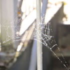 Spinnennetz an Geländer