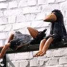 Komische Vögel sitzen auf einer Stange an Hausfassade in der Sonne