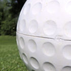 Golfball mit Fliegen