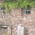 Ziegelmauer mit Fenstern und Ranken