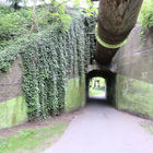 Tunnel mit Rohrleitung und Ranken