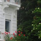 Balkon über blühenden Blumen