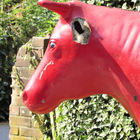 Rote Kuh mit einem Ohr und einem Horn