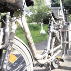 Schwan & Fahrrad