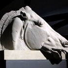»Pferdekopf vom Gespann der Selene« (Marmor, 440-430 v. Chr.)