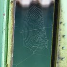 Spinnennetz in Hubbrückenkonstruktion