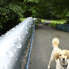 Edelstahlrohr (Handlauf) mit Regentropfen, Hund schaut fragend