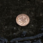 Münze in Pfütze auf Boden
