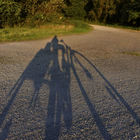 Schatten auf Hochrad