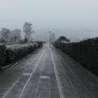 Vereister Weg im Nebel