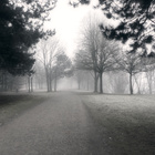 Weg im Nebel