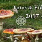 Fotos & Videos - Woche 39-2017