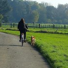 Radfahrerin mit Hund