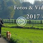 Fotos & Videos - Woche 44-2017