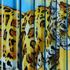 Tiger hinter Gittern