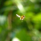Fliegende Biene