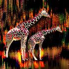 Brennende Giraffen
