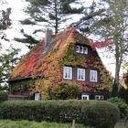 Von bunten Blättern eingeranktes Wohnhaus