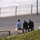 Drei Männer sitzen auf einer Bank, einer schaut auf das Rheinufer, die anderen auf ihr Handi
