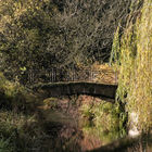 Gräftenbrücke und Weide im Herbst