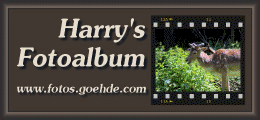 Harrys Fotoalbum