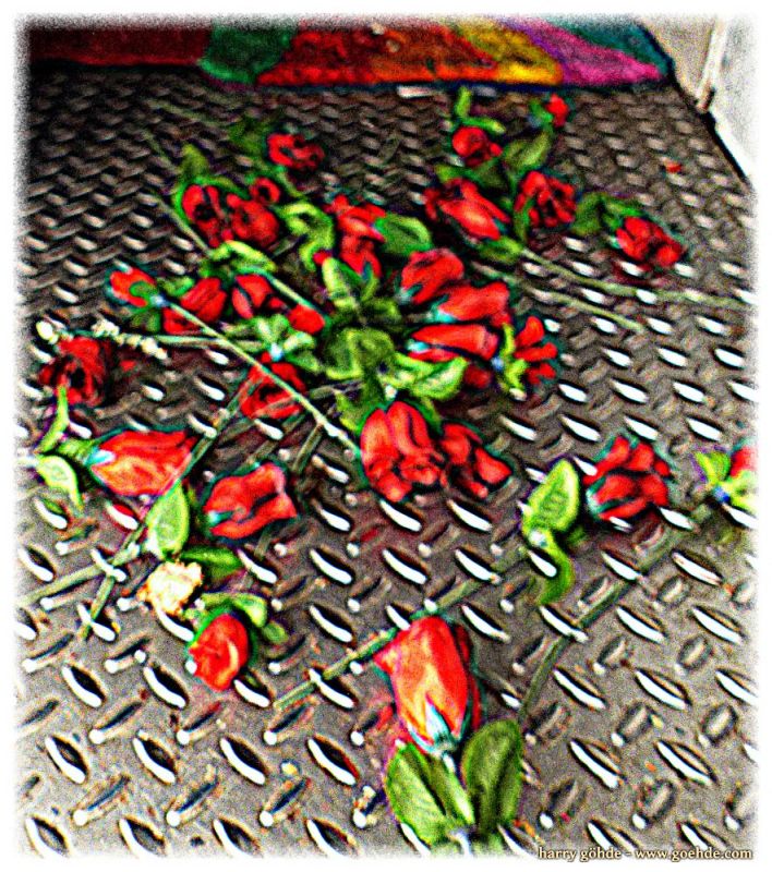 Rosen auf den Weg gestreut