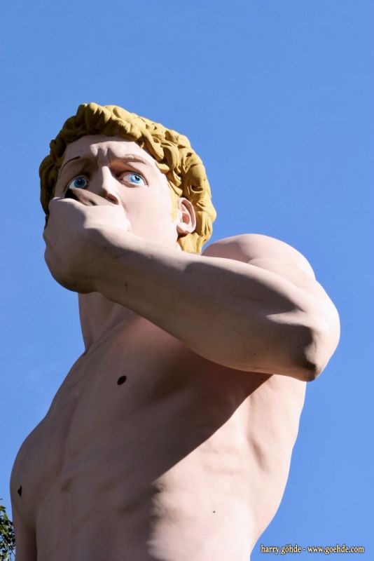 Hans-Peter Feldmann - David Hans-Peter Feldmann - David