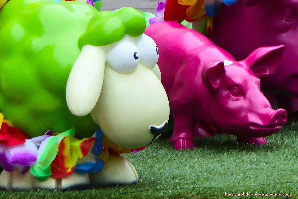 Lila Schweine und grüne Schafe / Purple pigs and green sheep