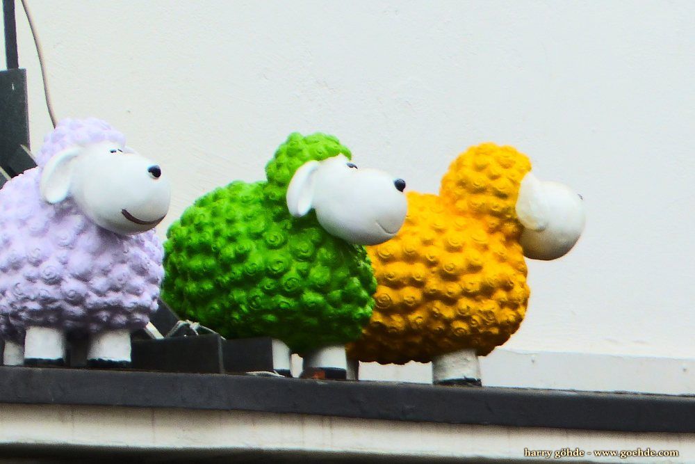 Lila Schweine und grüne Schafe / Purple pigs and green sheep